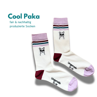 Nachhaltige Socken mit Cool Paka Motiv auf weißem Hintergrund