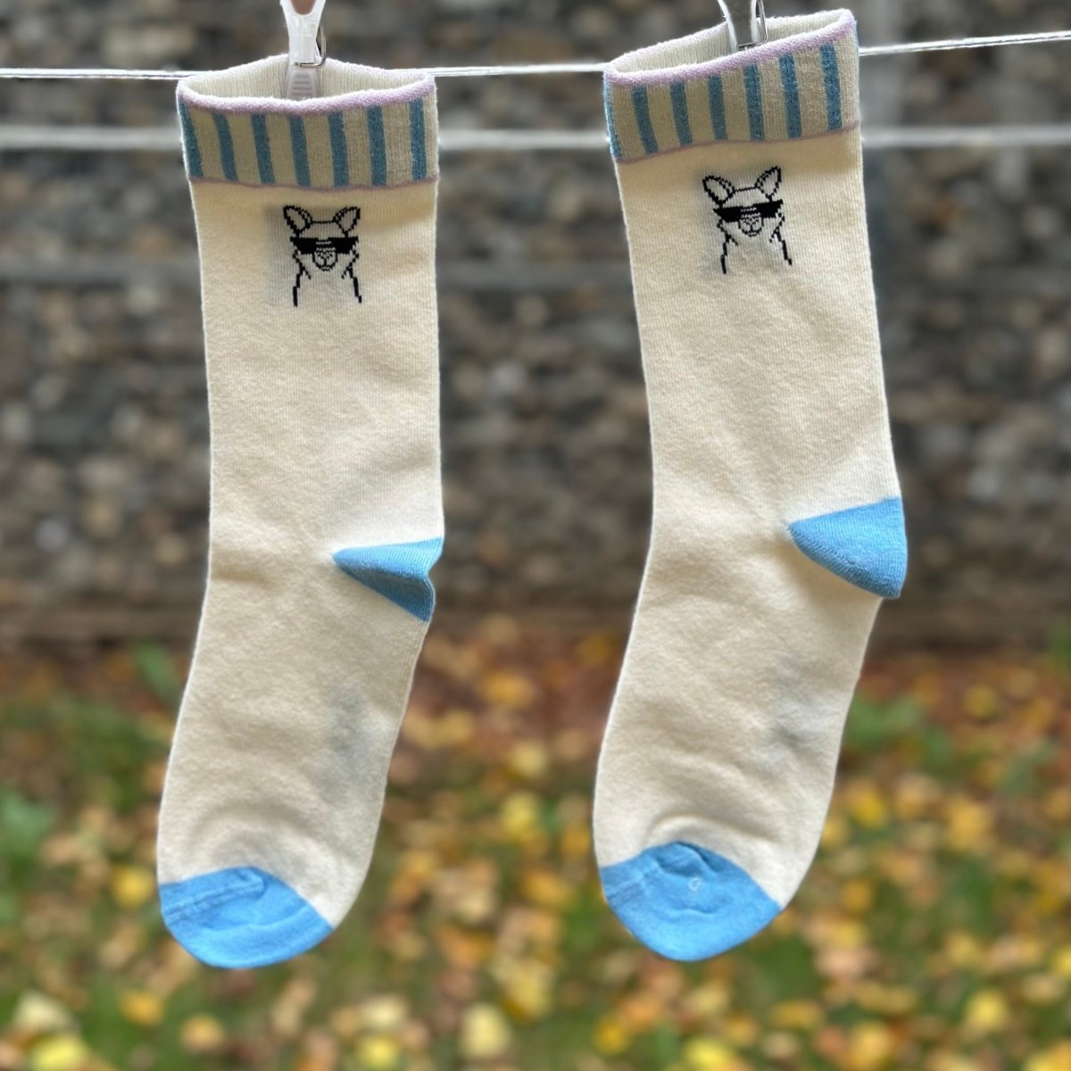 Cool Paka – Bio-Baumwollsocken mit coolem Alpaka-Vibe - Ungerade Wien