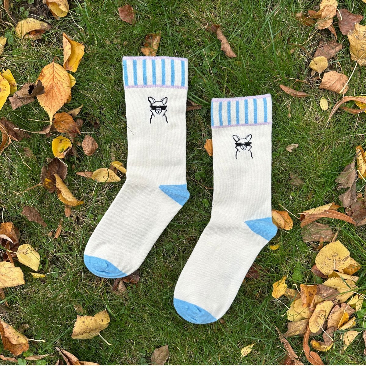 Cool Paka – Bio-Baumwollsocken mit coolem Alpaka-Vibe - Ungerade Wien