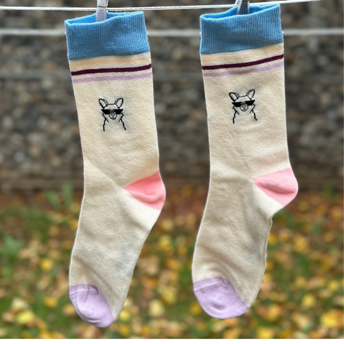 Cool Paka Stripe – Bio-Baumwollsocken mit Alpaka & Streifen-Design - Ungerade Wien