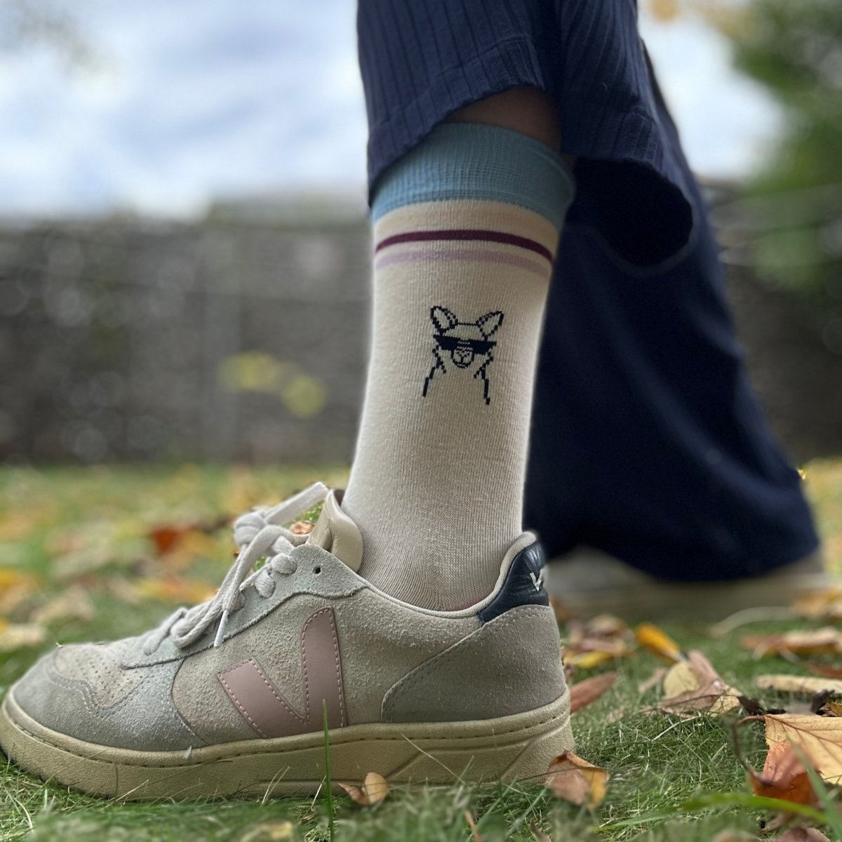Cool Paka Stripe – Bio-Baumwollsocken mit Alpaka & Streifen-Design - Ungerade Wien