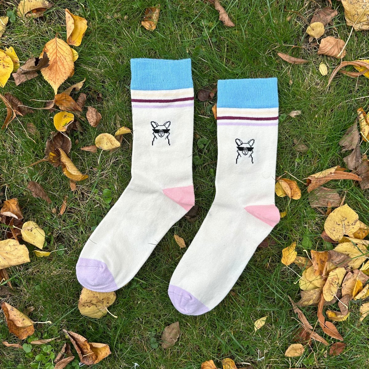 Cool Paka Stripe – Bio-Baumwollsocken mit Alpaka & Streifen-Design - Ungerade Wien