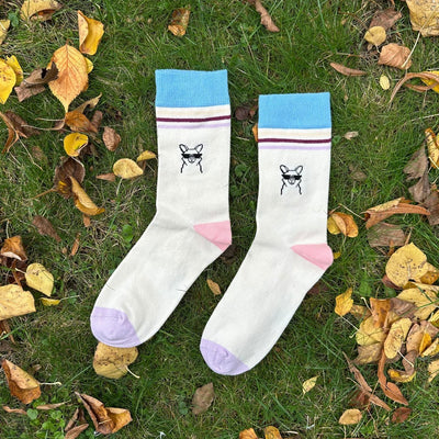 Cool Paka Stripe – Bio-Baumwollsocken mit Alpaka & Streifen-Design - Ungerade Wien