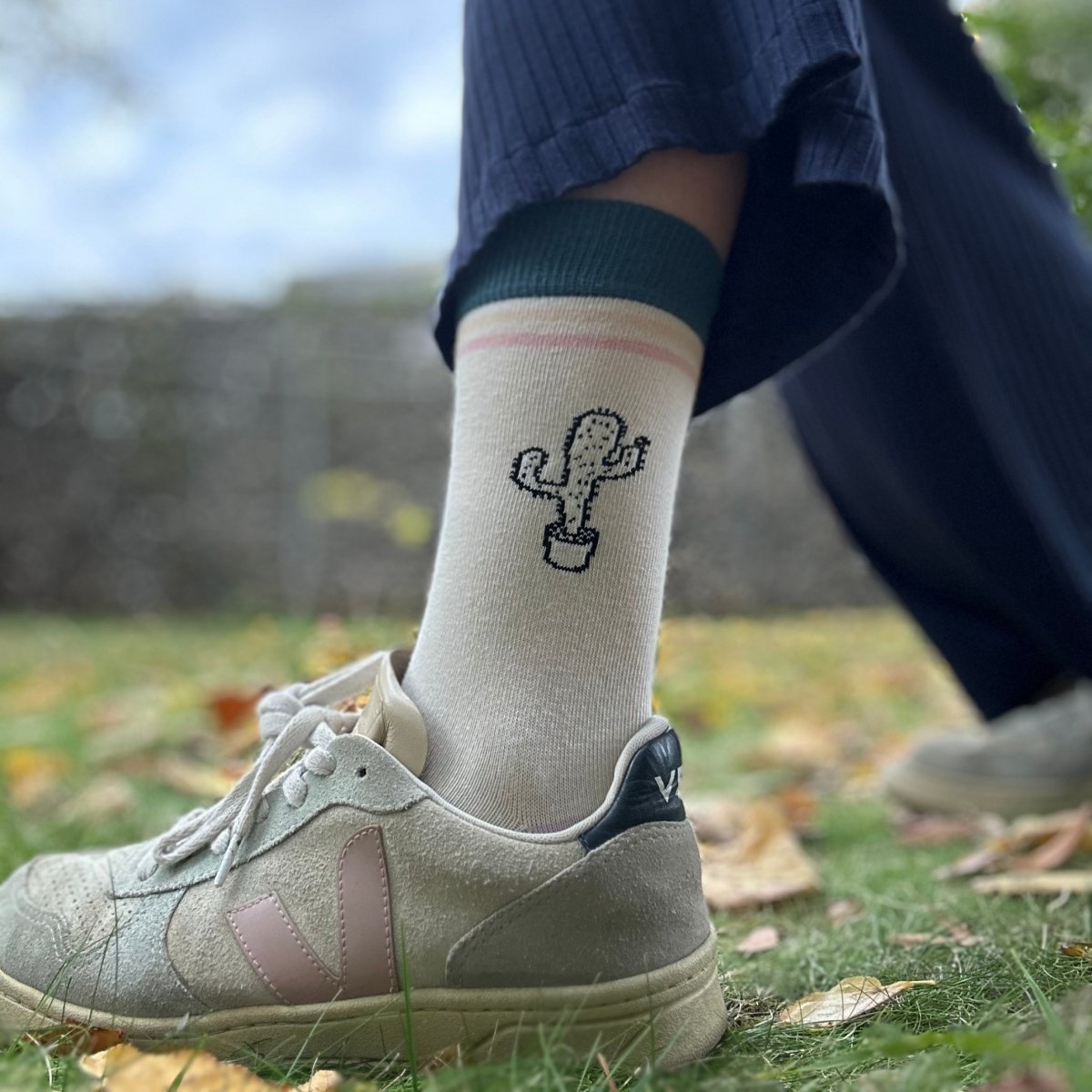 Desert Kaktus – Bio-Baumwollsocken mit Charakter und Stacheln - Ungerade Wien