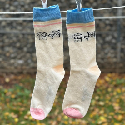 Dog & Cat Friends – Bio-Baumwollsocken über Freundschaft mit Pfiff - Ungerade Wien