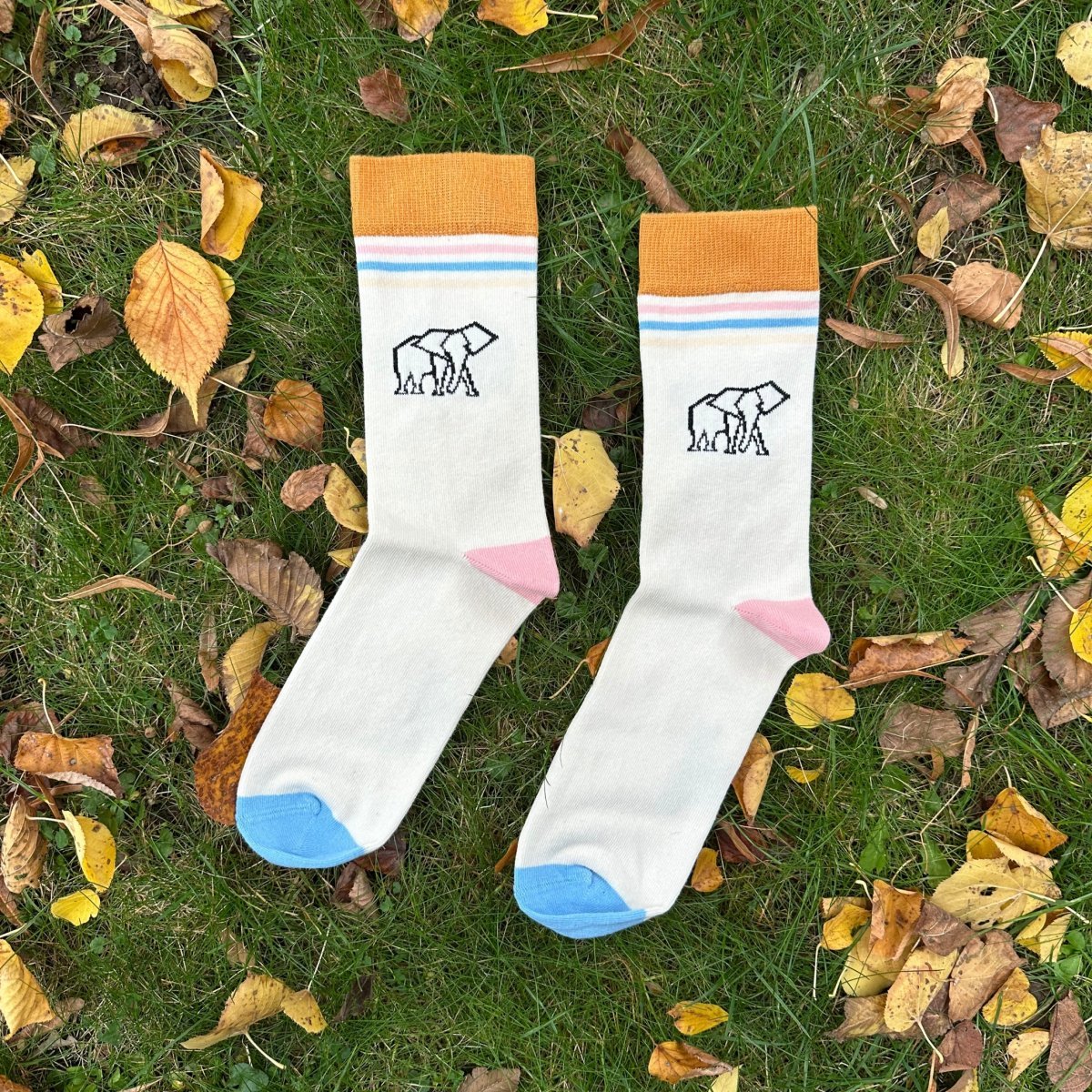 Elephant Walk – Bio-Baumwollsocken mit Charakter & Ecken - Ungerade Wien